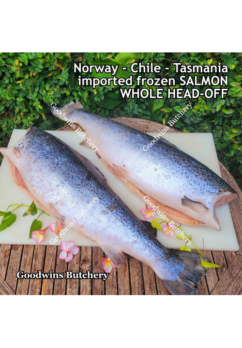 Salmon WHOLE HEAD-OFF TAIL-ON Norway / Chile / Tasmania frozen +/- 5 kg/pc (price/kg)